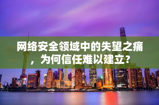 网络安全领域中的失望之痛，为何信任难以建立？
