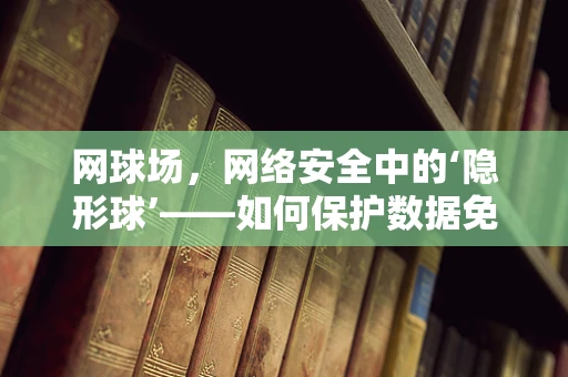 网球场，网络安全中的‘隐形球’——如何保护数据免受‘击球’攻击？