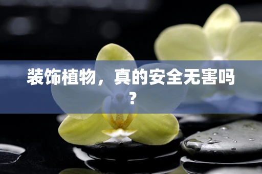 装饰植物，真的安全无害吗？