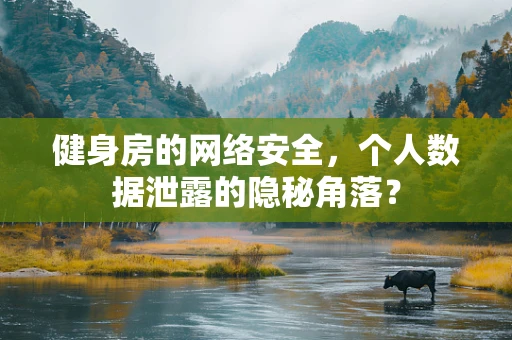 健身房的网络安全，个人数据泄露的隐秘角落？