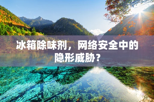 冰箱除味剂，网络安全中的隐形威胁？