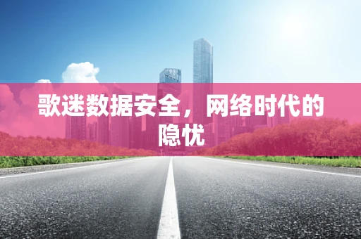 歌迷数据安全，网络时代的隐忧