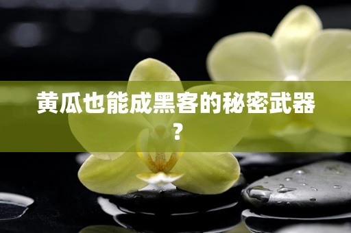 黄瓜也能成黑客的秘密武器？