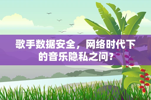 歌手数据安全，网络时代下的音乐隐私之问？