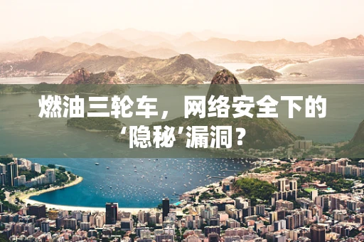 燃油三轮车，网络安全下的‘隐秘’漏洞？