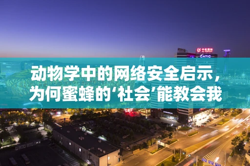 动物学中的网络安全启示，为何蜜蜂的‘社会’能教会我们保护数据？