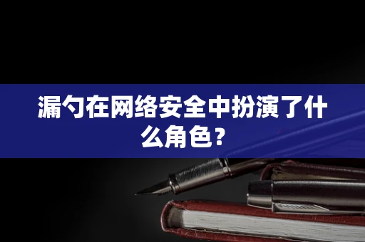 漏勺在网络安全中扮演了什么角色？