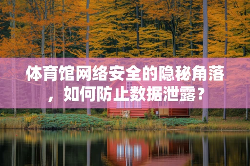 体育馆网络安全的隐秘角落，如何防止数据泄露？