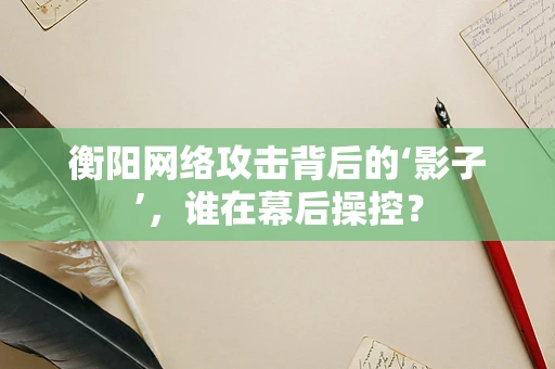 衡阳网络攻击背后的‘影子’，谁在幕后操控？