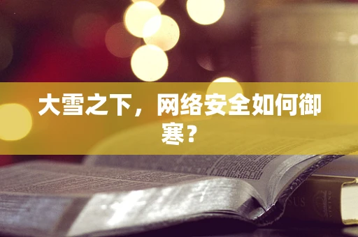 大雪之下，网络安全如何御寒？