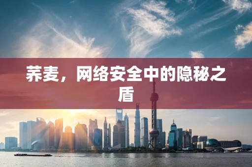 荞麦，网络安全中的隐秘之盾