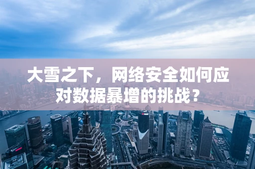 大雪之下，网络安全如何应对数据暴增的挑战？