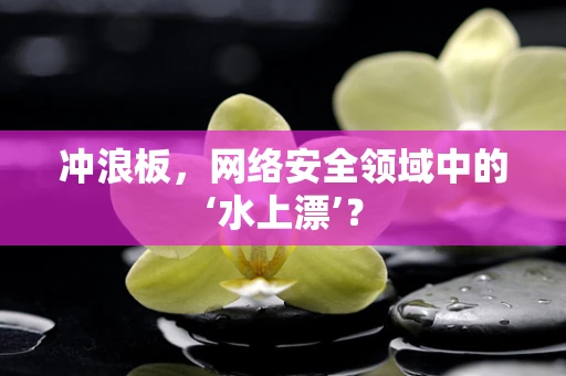 冲浪板，网络安全领域中的‘水上漂’？