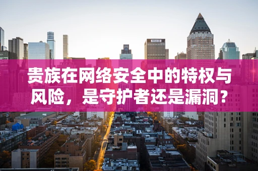 贵族在网络安全中的特权与风险，是守护者还是漏洞？