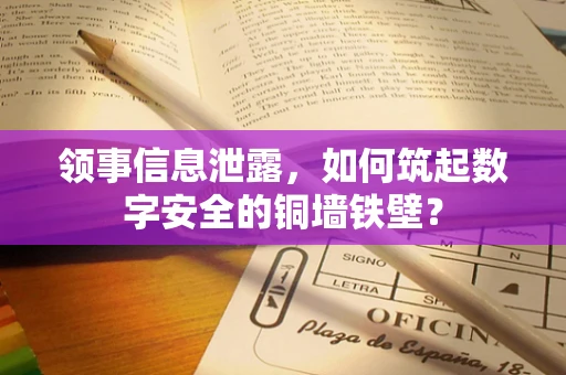 领事信息泄露，如何筑起数字安全的铜墙铁壁？