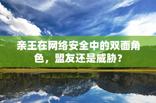 亲王在网络安全中的双面角色，盟友还是威胁？