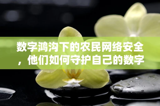 数字鸿沟下的农民网络安全，他们如何守护自己的数字资产？