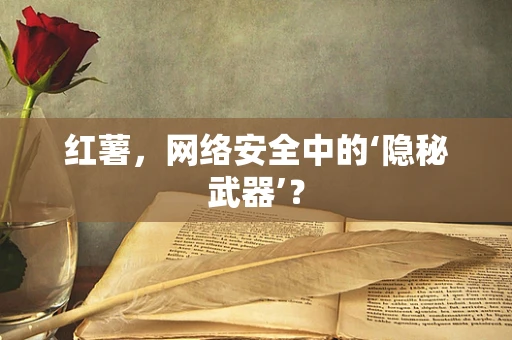 红薯，网络安全中的‘隐秘武器’？