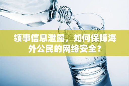 领事信息泄露，如何保障海外公民的网络安全？