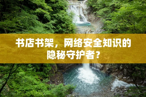 书店书架，网络安全知识的隐秘守护者？