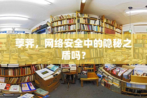 荸荠，网络安全中的隐秘之盾吗？