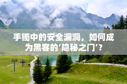 手镯中的安全漏洞，如何成为黑客的‘隐秘之门’？