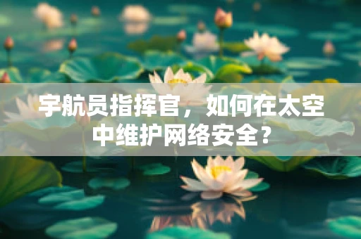 宇航员指挥官，如何在太空中维护网络安全？