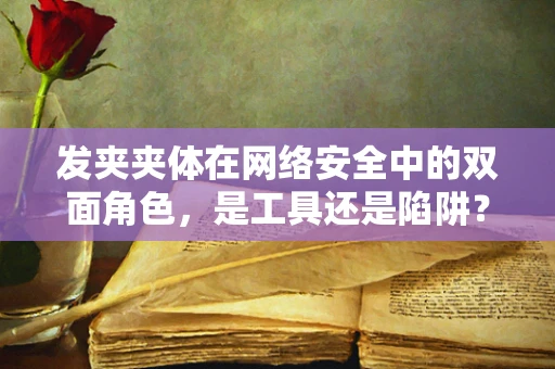 发夹夹体在网络安全中的双面角色，是工具还是陷阱？
