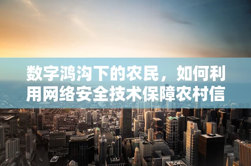 数字鸿沟下的农民，如何利用网络安全技术保障农村信息的安全与隐私？
