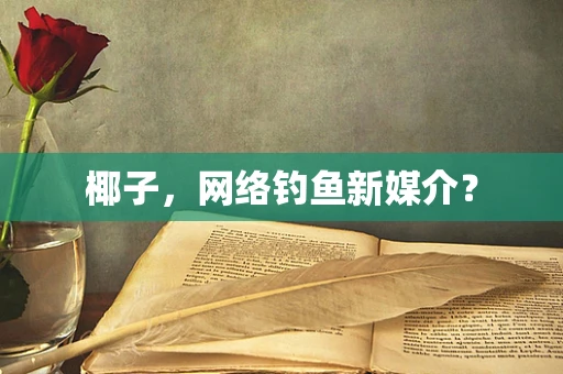 椰子，网络钓鱼新媒介？