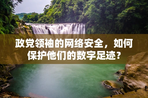 政党领袖的网络安全，如何保护他们的数字足迹？
