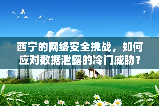 西宁的网络安全挑战，如何应对数据泄露的冷门威胁？
