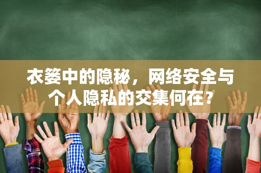 衣篓中的隐秘，网络安全与个人隐私的交集何在？