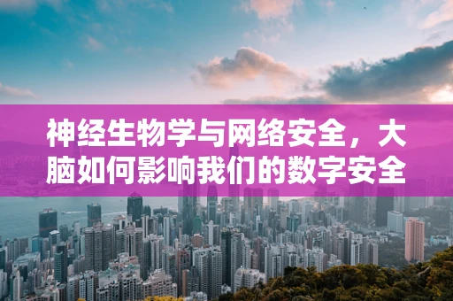 神经生物学与网络安全，大脑如何影响我们的数字安全决策？