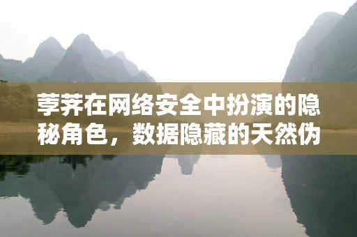 荸荠在网络安全中扮演的隐秘角色，数据隐藏的天然伪装？