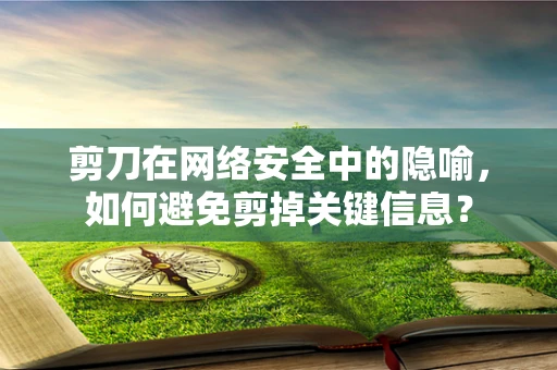 剪刀在网络安全中的隐喻，如何避免剪掉关键信息？