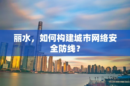 丽水，如何构建城市网络安全防线？
