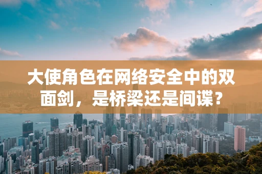 大使角色在网络安全中的双面剑，是桥梁还是间谍？