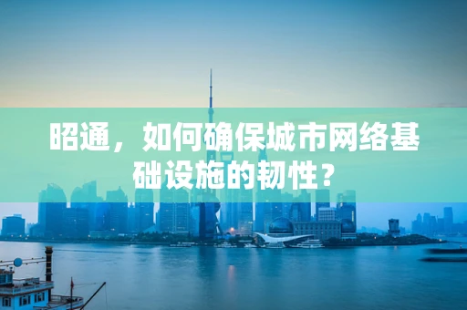昭通，如何确保城市网络基础设施的韧性？