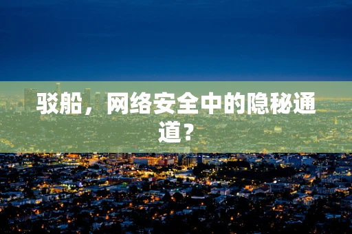 驳船，网络安全中的隐秘通道？