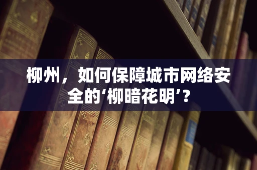 柳州，如何保障城市网络安全的‘柳暗花明’？