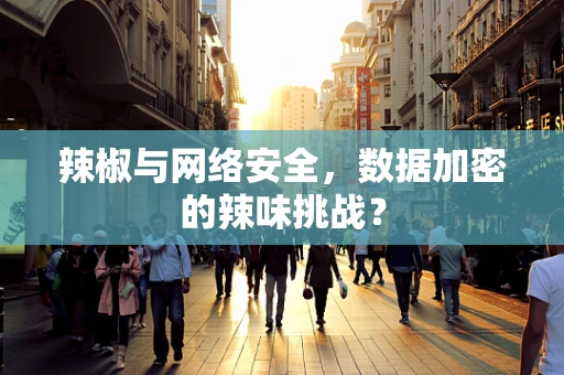 辣椒与网络安全，数据加密的辣味挑战？