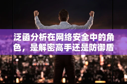 泛函分析在网络安全中的角色，是解密高手还是防御盾牌？