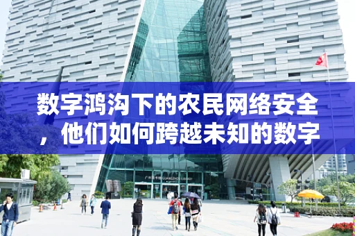 数字鸿沟下的农民网络安全，他们如何跨越未知的数字世界？