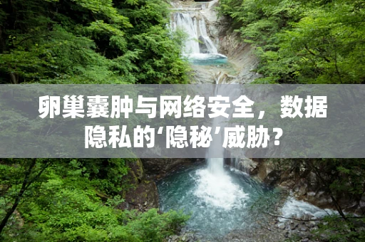 卵巢囊肿与网络安全，数据隐私的‘隐秘’威胁？