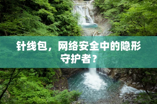 针线包，网络安全中的隐形守护者？