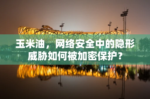 玉米油，网络安全中的隐形威胁如何被加密保护？