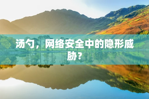 汤勺，网络安全中的隐形威胁？