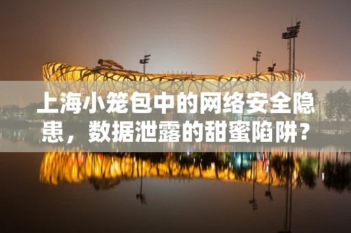 上海小笼包中的网络安全隐患，数据泄露的甜蜜陷阱？