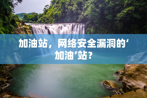 加油站，网络安全漏洞的‘加油’站？